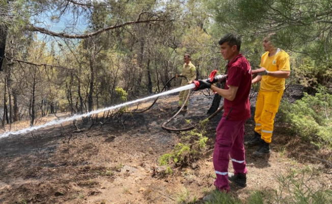 Sivaslı'da orman yangını! 1,5 dekar alan zarar gördü