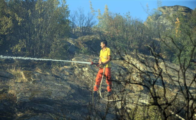 Uşak'ta makilik alanda çıkan yangında 5,5 hektarlık alan zarar gördü
