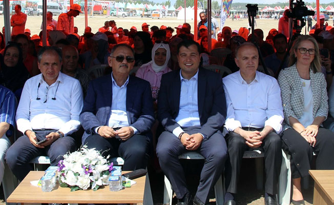 AK Parti Genel Başkan Yardımcısı Özhaseki; "Mehmet beyi de zamanında biz işinden gücünden koparıp getirdik"