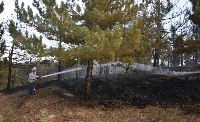 Afyon'da çıkan yangında 3 dönüm ormanlık alan yandı.