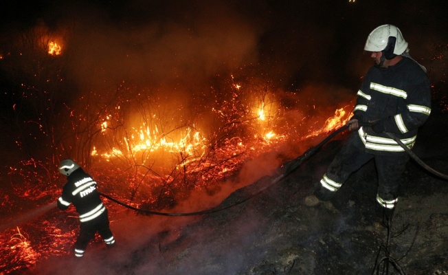 Turgutlu'da Maki ve Ağaçlık Alanda Yangın