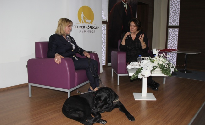 Labrador Cinsi Köpeği İle Engelleri Aşan Avukat