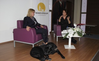 Labrador Cinsi Köpeği İle Engelleri Aşan Avukat